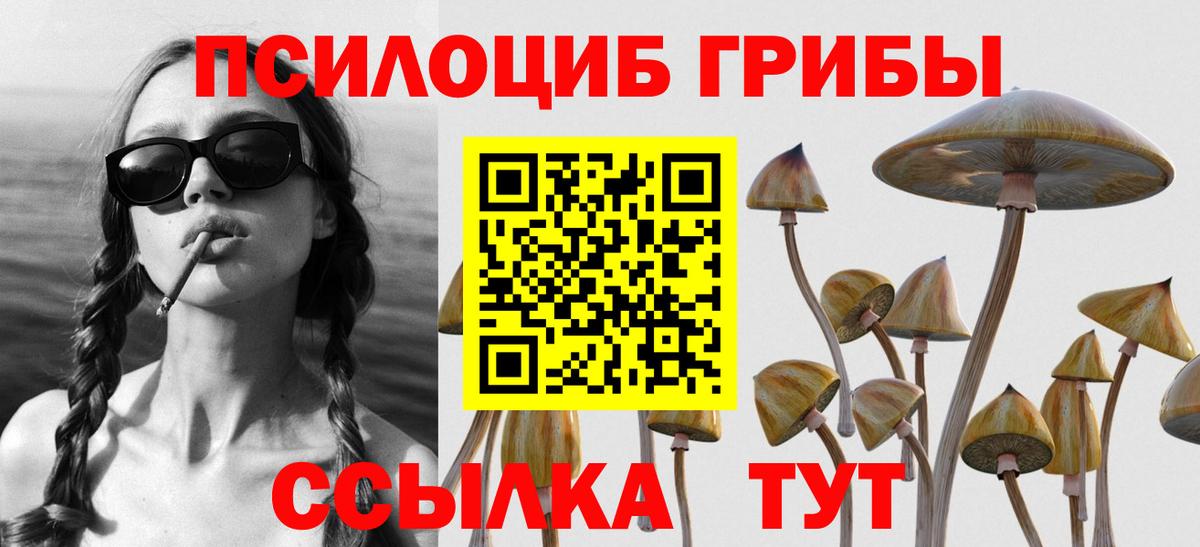 Галлюциногенные грибы мицелий Лабытнанги