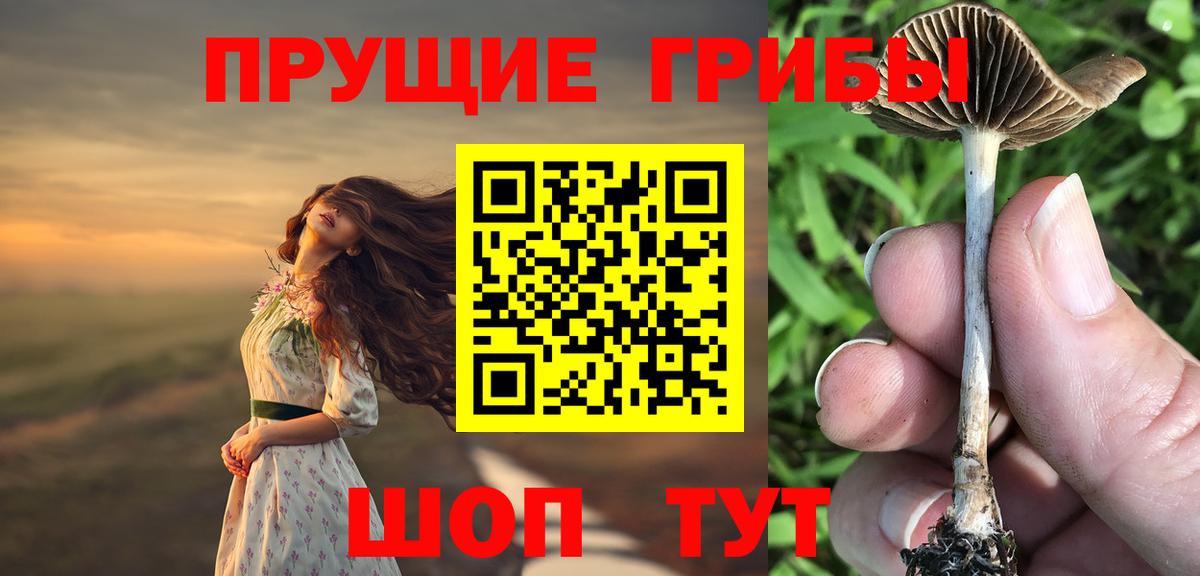 Лабытнанги  Псилоцибиновые грибы GOLDEN TEACHER  купить наркотики цена  Вход с VPN  Псилоцибиновые грибы MAGIC MUSHROOMS 